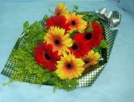 t�l i�erisinde gerbera �i�ekleri 11 adet  T�rkiye �i�ek sipari�i sitesi 