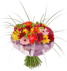 karisik gerbera demeti 15 adet gerberalardan  T�rkiye �i�ek g�nderme 