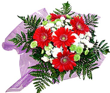 gerbera ve krizantem demeti  T�rkiye �i�ek g�nderme 