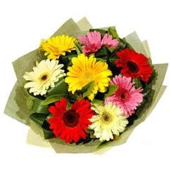9 adet karisik gerbera demeti  T�rkiye uluslararas� �i�ek g�nderme 