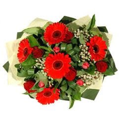  T�rkiye �i�ek g�nderme sitemiz g�venlidir   5 adet kirmizi g�l 5 adet gerbera demeti