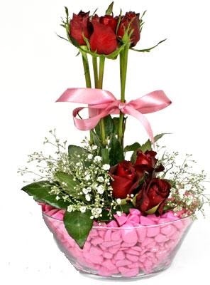  T�rkiye �i�ek ma�azas� , �i�ek�i adresleri  SEVIYORUM DIYENLER 7 kirmizi g�l tanzim 