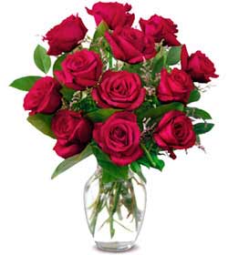  T�rkiye �i�ek�i ma�azas�  1 d�zine kirmizi g�l sevenlere �zel vazo g�lleri