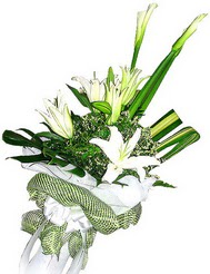  T�rkiye anneler g�n� �i�ek yolla  3 dal kazablanka �i�egi ve yesillikler