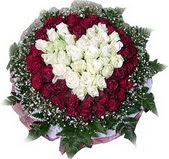  T�rkiye uluslararas� �i�ek g�nderme  27 adet kirmizi ve beyaz g�l sepet i�inde