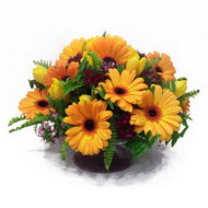 gerbera ve kir �i�ek masa aranjmani  T�rkiye hediye �i�ek yolla 