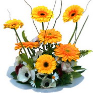 camda gerbera ve mis kokulu kir �i�ekleri  T�rkiye online �i�ek�i , �i�ek sipari�i 