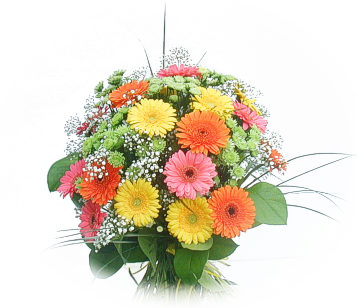 13 adet gerbera �i�egi buketi  T�rkiye �i�ek�i ma�azas� 