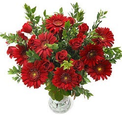 5 adet kirmizi g�l 5 adet gerbera aranjmani  T�rkiye �i�ek yolla 