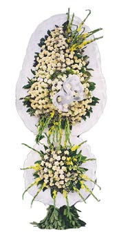 d�g�n �i�ekleri �iftli nikah �i�egi  T�rkiye ucuz �i�ek g�nder 