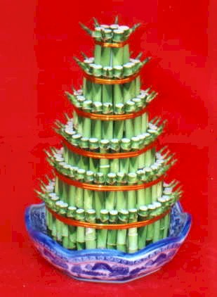 Lucky Bamboo sans melegi �i�egi  T�rkiye �i�ek , �i�ek�i , �i�ek�ilik 