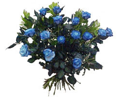  T�rkiye �i�ek ma�azas� , �i�ek�i adresleri  9 mavi g�l g�zel bir buket