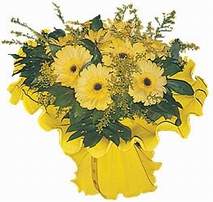  T�rkiye �i�ek g�nderme  9 adet sari g�zel gerbera