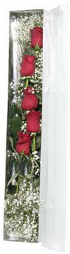  T�rkiye �i�ek�i telefonlar�   5 adet g�lden kutu g�ller