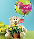  T�rkiye �i�ek g�nderme  Ayicik balon ve saksida sari g�ller