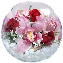 T�rkiye online �i�ek�i , �i�ek sipari�i  fanus i�inde 1 kandil orkide 3 g�l aranjmani