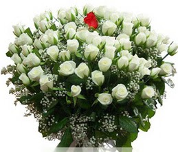  T�rkiye �i�ek sat���  100 adet beyaz 1 adet kirmizi g�l buketi