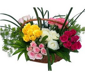 T�rkiye �i�ek g�nderme sitemiz g�venlidir  35 adet rengarenk g�llerden sepet tanzimi