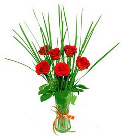  T�rkiye �nternetten �i�ek sipari�i  6 adet k�rm�z� g�llerden vazo �i�e�i