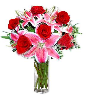  T�rkiye g�venli kaliteli h�zl� �i�ek  1 dal cazablanca ve 6 k�rm�z� g�l �i�e�i