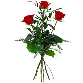  T�rkiye �i�ek�iler  3 adet k�rm�z� g�lden buket