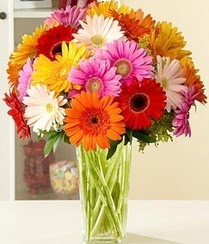  T�rkiye cicekciler , cicek siparisi  15 adet gerbera �i�ek vazosu