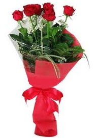 �i�ek yolla sitesinden 7 adet k�rm�z� g�l  T�rkiye �i�ek sat��� 