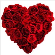  T�rkiye �i�ek�iler  19 adet k�rm�z� g�lden kalp tanzimi