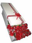  T�rkiye online �i�ek�i , �i�ek sipari�i  11 adet 1.kalite magnum g�ller