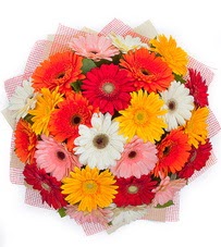 15 adet renkli gerbera buketi  T�rkiye hediye sevgilime hediye �i�ek 