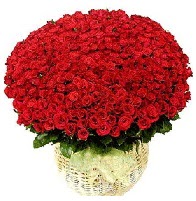 501 adet k�rm�z� g�l aranjman�  T�rkiye �i�ek�i ma�azas� 