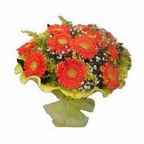  T�rkiye g�venli kaliteli h�zl� �i�ek  11 adet se�me gerbera �i�egi