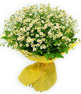 sadece papatya buketi  T�rkiye �i�ek�i ma�azas� 