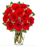 12 adet vazoda k�pk�rm�z� g�l  T�rkiye �i�ek sipari�i sitesi 