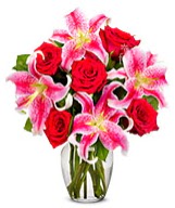 Vazoda 5 adet k�rm�z� g�l 2 dal kazablanka  T�rkiye �i�ek g�nderme 