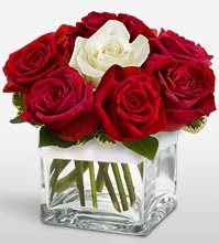 Tek a�k�ms�n �i�e�i 8 k�rm�z� 1 beyaz g�l  T�rkiye �i�ek�iler 