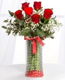 Cam vazoda 5 adet k�rm�z� g�l kalp �ubuk  T�rkiye �i�ek g�nderme sitemiz g�venlidir 