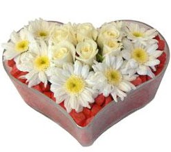 Kalp i�erisinde 7 beyaz g�l ve papatyalar  T�rkiye �i�ek sat��� 