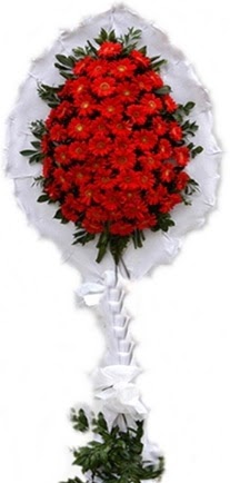 Tekli D���n nikah ��yeri a��l�� �i�e�i  T�rkiye kaliteli taze ve ucuz �i�ekler 