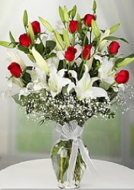 9 adet k�rm�z� g�l 3 dal kazablanka  T�rkiye g�venli kaliteli h�zl� �i�ek 