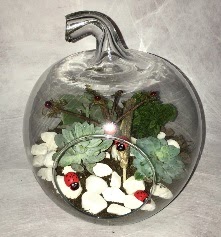 K���k terrarium elma 3 kakt�s  T�rkiye uluslararas� �i�ek g�nderme 
