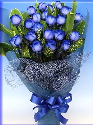 19 adet e�siz mavi g�l buketi  T�rkiye �i�ek�iler 