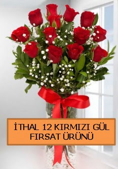  �thal k�rm�z� 12 adet kaliteli g�l  T�rkiye �i�ek g�nderme sitemiz g�venlidir 