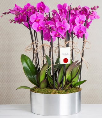 11 dall mor orkide metal vazoda  Trkiye kaliteli taze ve ucuz iekler 