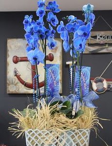 4 dall zel mavi orkide  Trkiye hediye iek yolla 