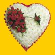  T�rkiye �i�ek servisi , �i�ek�i adresleri  1.20m x 1.20m  Gerbera G�ller