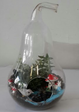 Armut orta boy cam terrarium  T�rkiye �i�ek ma�azas� , �i�ek�i adresleri 