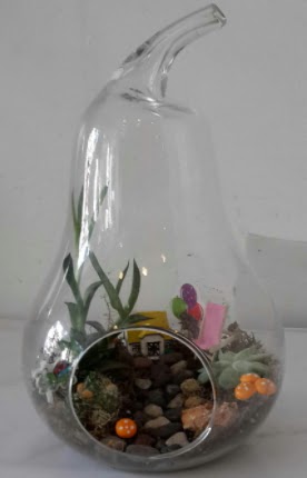 Orta boy cam armut terrarium  T�rkiye �i�ek yolla , �i�ek g�nder , �i�ek�i  