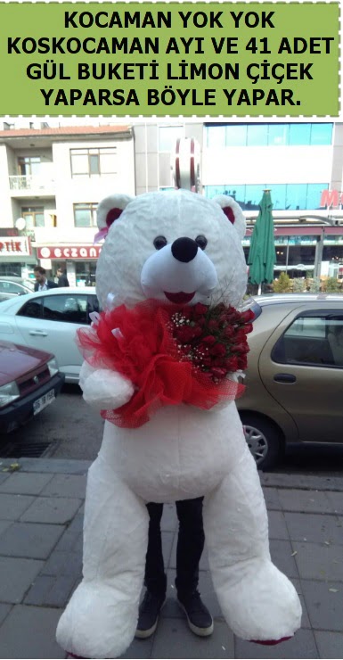 Koskocaman beyaz ay� ve 25 adet g�l  T�rkiye �i�ek�i telefonlar� 