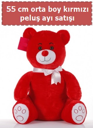 55 cm k�rm�z� orta boy oturan pelu� ay�  T�rkiye g�venli kaliteli h�zl� �i�ek 